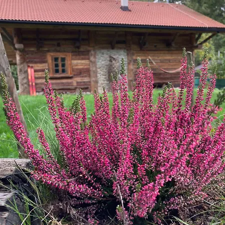 Vyr Chalet *